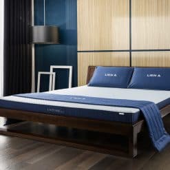 L A Dome Blue Lifestyle