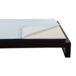 L A Dome Blue Open 2