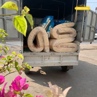 Dem Cao Su Thien Nhien Princess Massage 7 Vung Kim Cuong