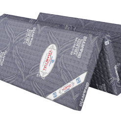 Nembongepcharcoal3manh