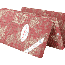 Nembongepcharcoal3manh6