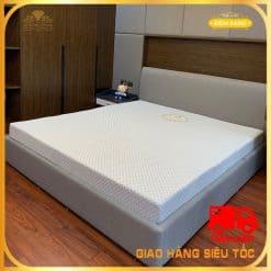 Dem Cao Su Non Than Hoat Tinh Winnie's Grey Kim Cuong 2