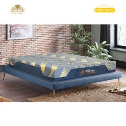 Dem Foam Aloe Vera Organic 1