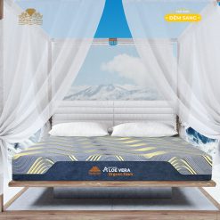 Dem Foam Aloe Vera Organic 2