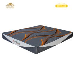 Dem Foam Cao Cap Aloe Vera Elastic 1