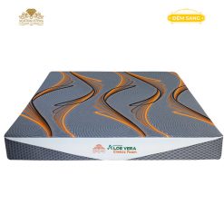 Dem Foam Cao Cap Aloe Vera Elastic 1