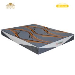 Dem Foam Cao Cap Aloe Vera Elastic 1