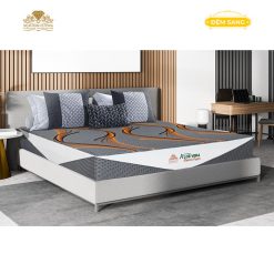 Dem Foam Cao Cap Aloe Vera Elastic 1