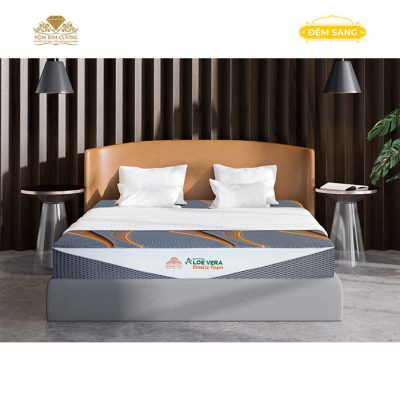 Dem Foam Cao Cap Aloe Vera Elastic 1