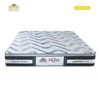 Dem Lo Xo Tui Doc Lap Asling Pro 1