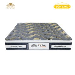 Dem Lo Xo Tui Doc Lap Kim Cuong Asling Promax 1