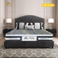 Dem Lo Xo Tui Doc Lap Kim Cuong Asling Promax 1