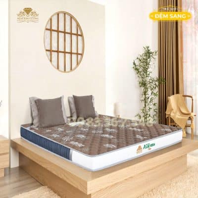 Dem Cao Su Non Mix Foam Aloevera Tinh Chat Lo Hoi Thoang Mat 3