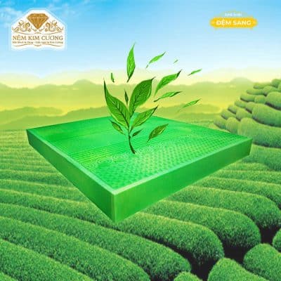Dem Foam Massage Green Tea 5