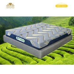 Dem Foam Massage Green Tea 5