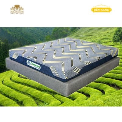 Dem Foam Massage Green Tea 5