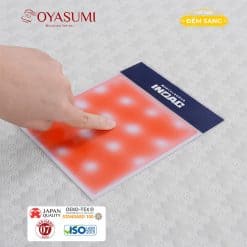 Dem Foam Nhat Ban Massage Cao Cap Oyasumi Pemium 1