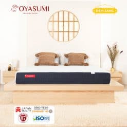 Dem Foam Nhat Ban Massage Cao Cap Oyasumi Pemium 1
