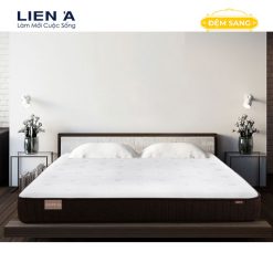 Dem Lo Xo Tui Doc Lap Cocoon Firm Lien A 1