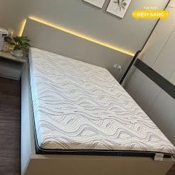 Dem Foam Cao Cap Vai Lanh Darius