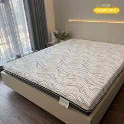 Dem Foam Cao Cap Vai Lanh Darius