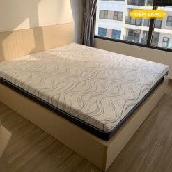 Dem Foam Cao Cap Vai Lanh Darius