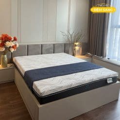 Dem Foam Cao Cap Vai Lanh Darius