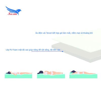 dem-foam-sum